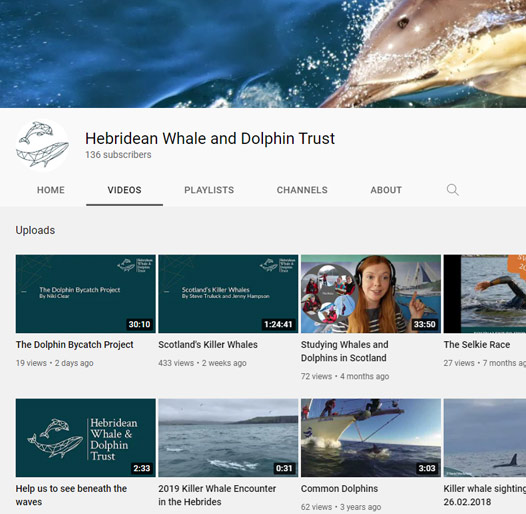 Hebridean Whale & Dolphin Trusts