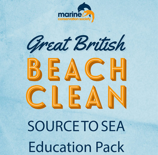 Great British Beach Clean