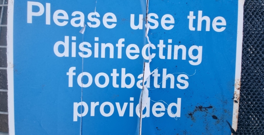 Rubbish puzzle!